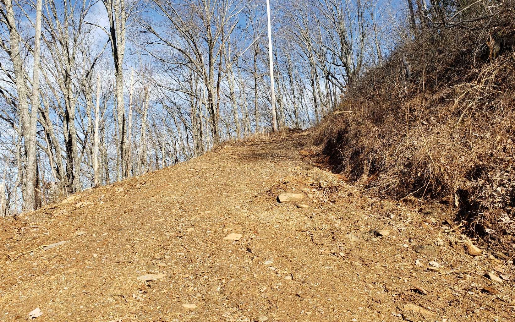 LT 28A Sassafras Ridge Road, Copperhill TN 37317 - Photo