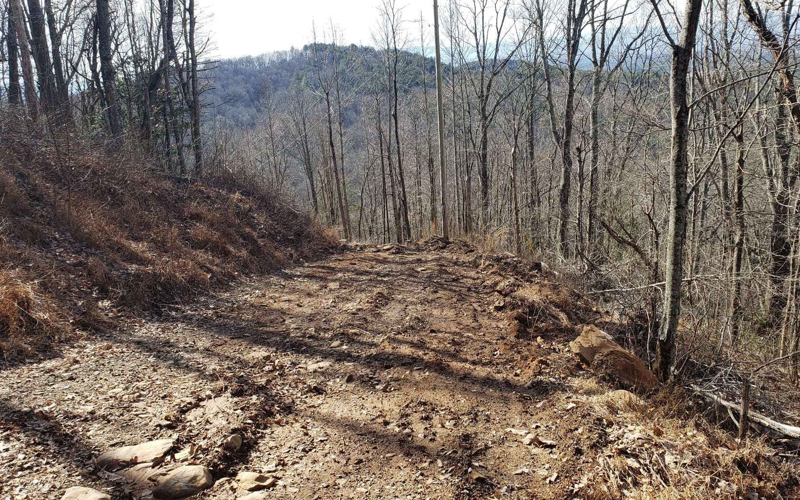 LT 28A Sassafras Ridge Road, Copperhill TN 37317 - Photo