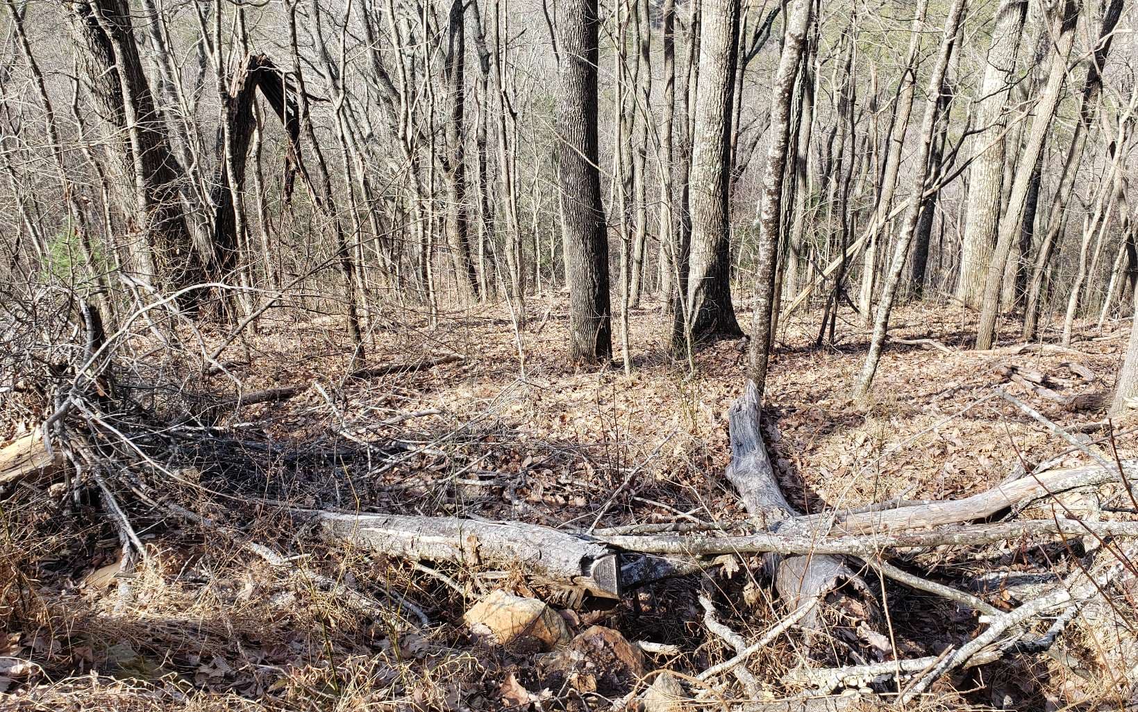 LT 28A Sassafras Ridge Road, Copperhill TN 37317 - Photo