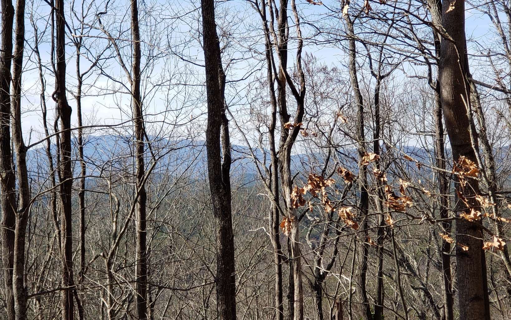 LT 28A Sassafras Ridge Road, Copperhill TN 37317 - Photo