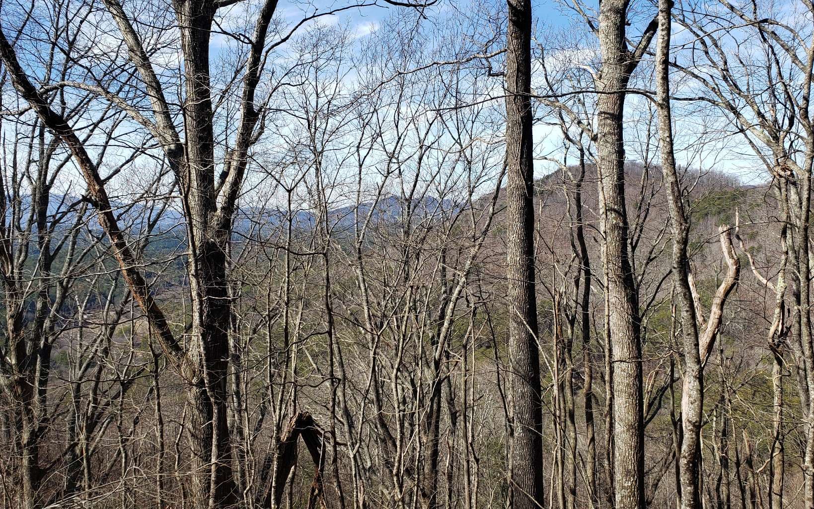 LT 28A Sassafras Ridge Road, Copperhill TN 37317 - Photo