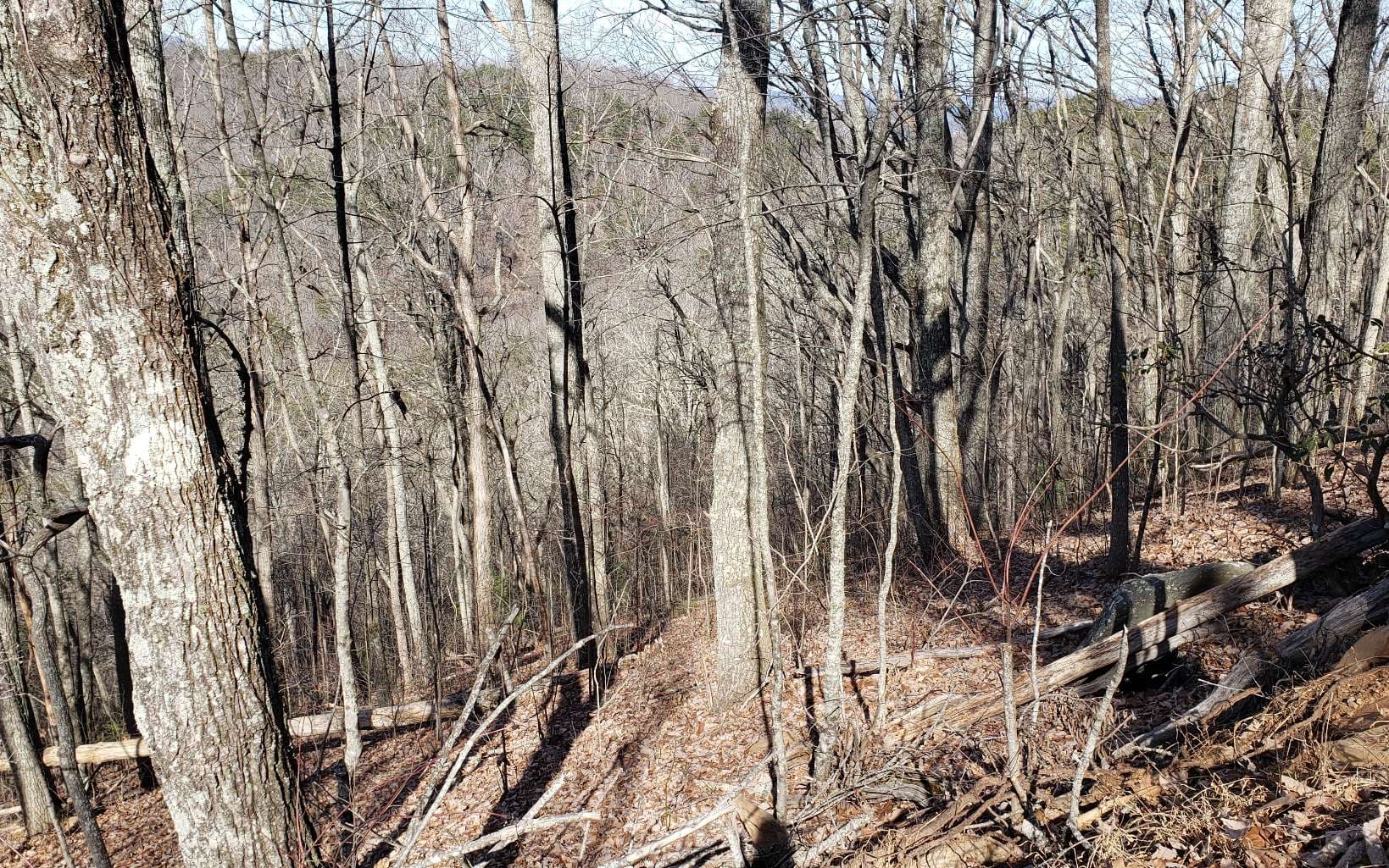 LT 28A Sassafras Ridge Road, Copperhill TN 37317 - Photo