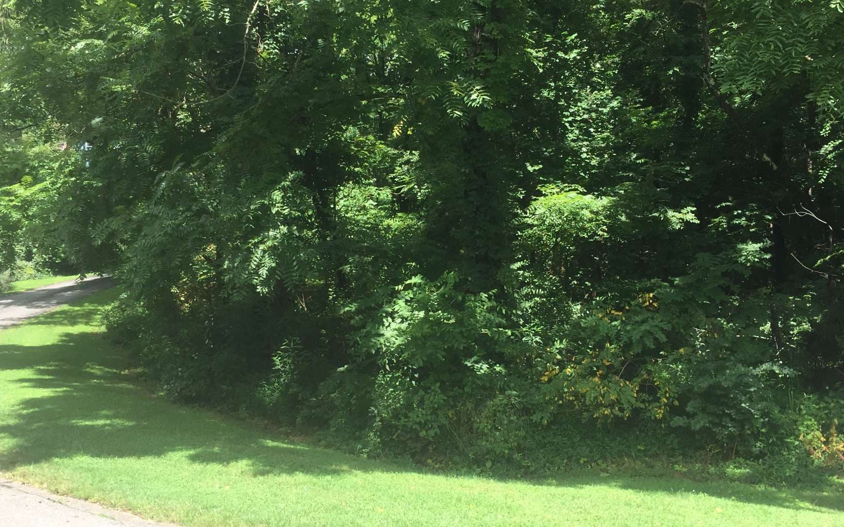 2 & 3 Chatuge Village Drive, Hayesville NC 28904 - Photo
