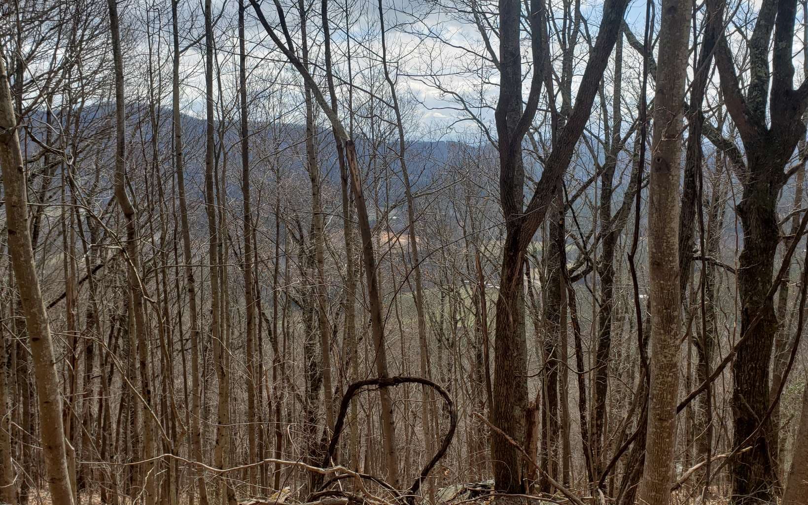 LT 35 Calvender Road, Turtletown TN 37317 - Photo