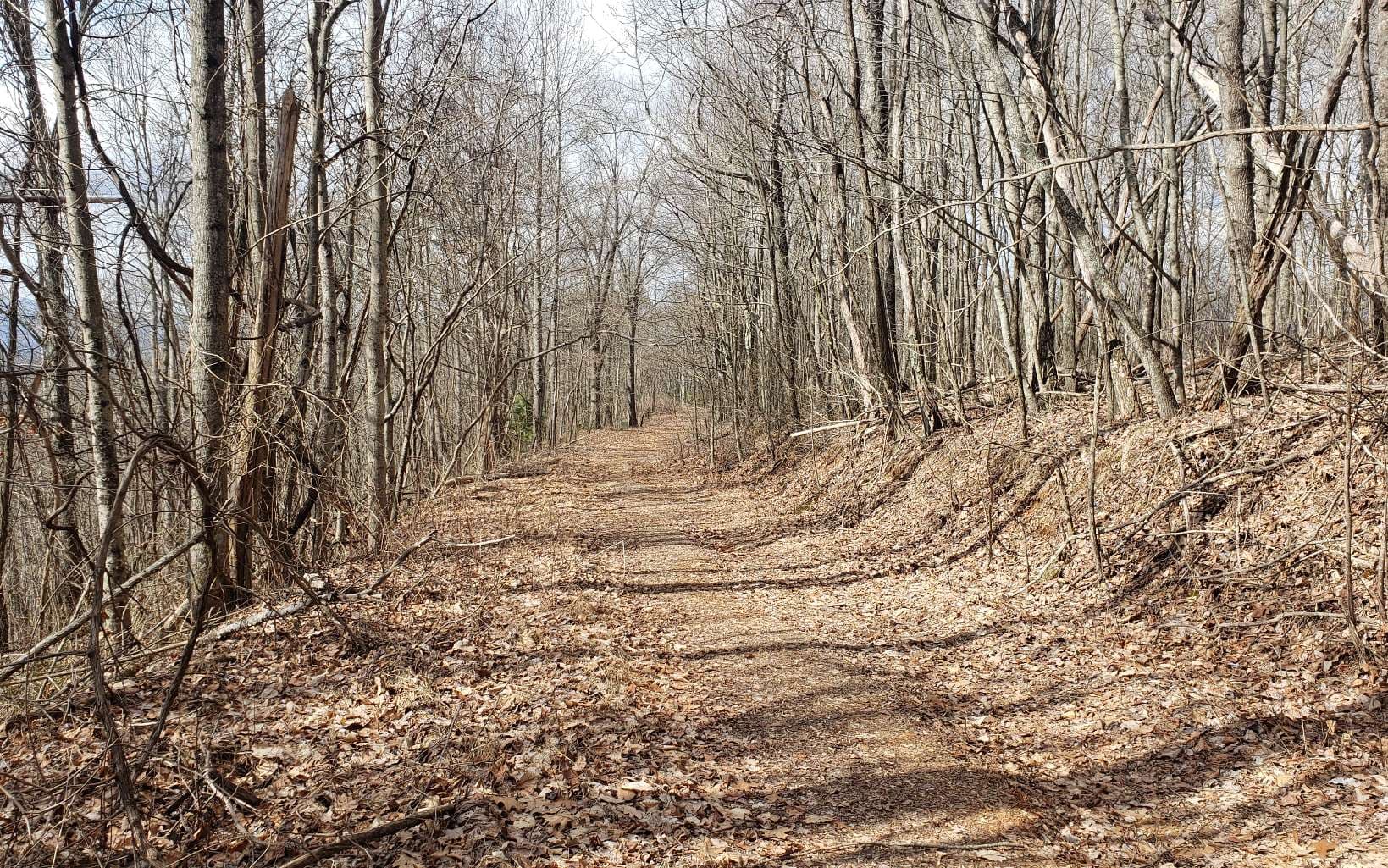 LT 35 Calvender Road, Turtletown TN 37317 - Photo