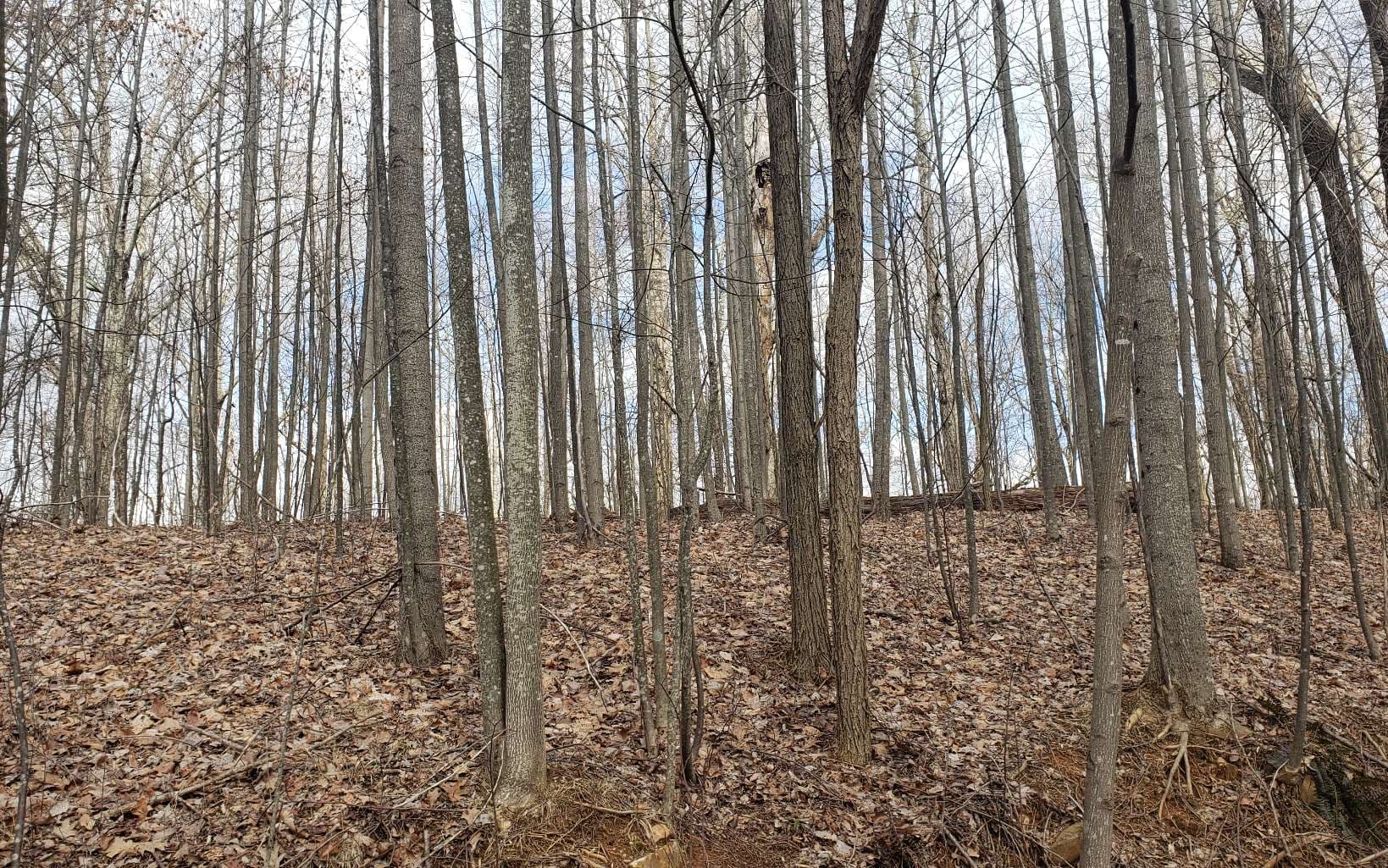 LT 35 Calvender Road, Turtletown TN 37317 - Photo