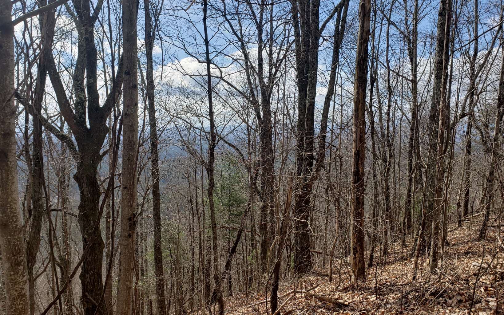 LT 35 Calvender Road, Turtletown TN 37317 - Photo