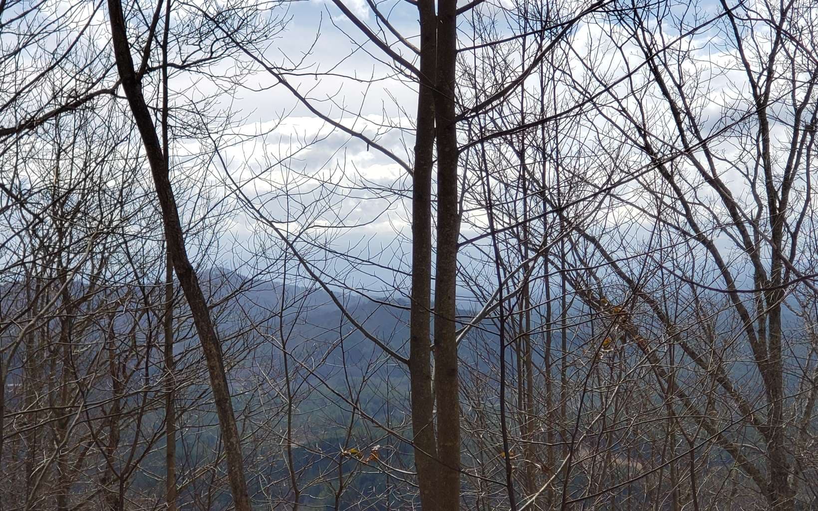 LT 35 Calvender Road, Turtletown TN 37317 - Primary photo