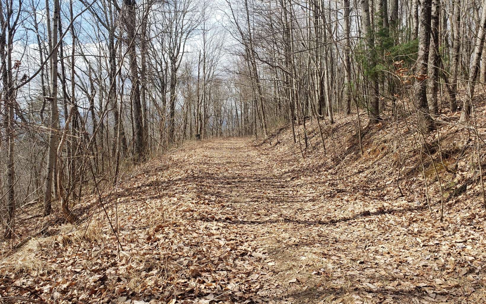 LT 35 Calvender Road, Turtletown TN 37317 - Photo