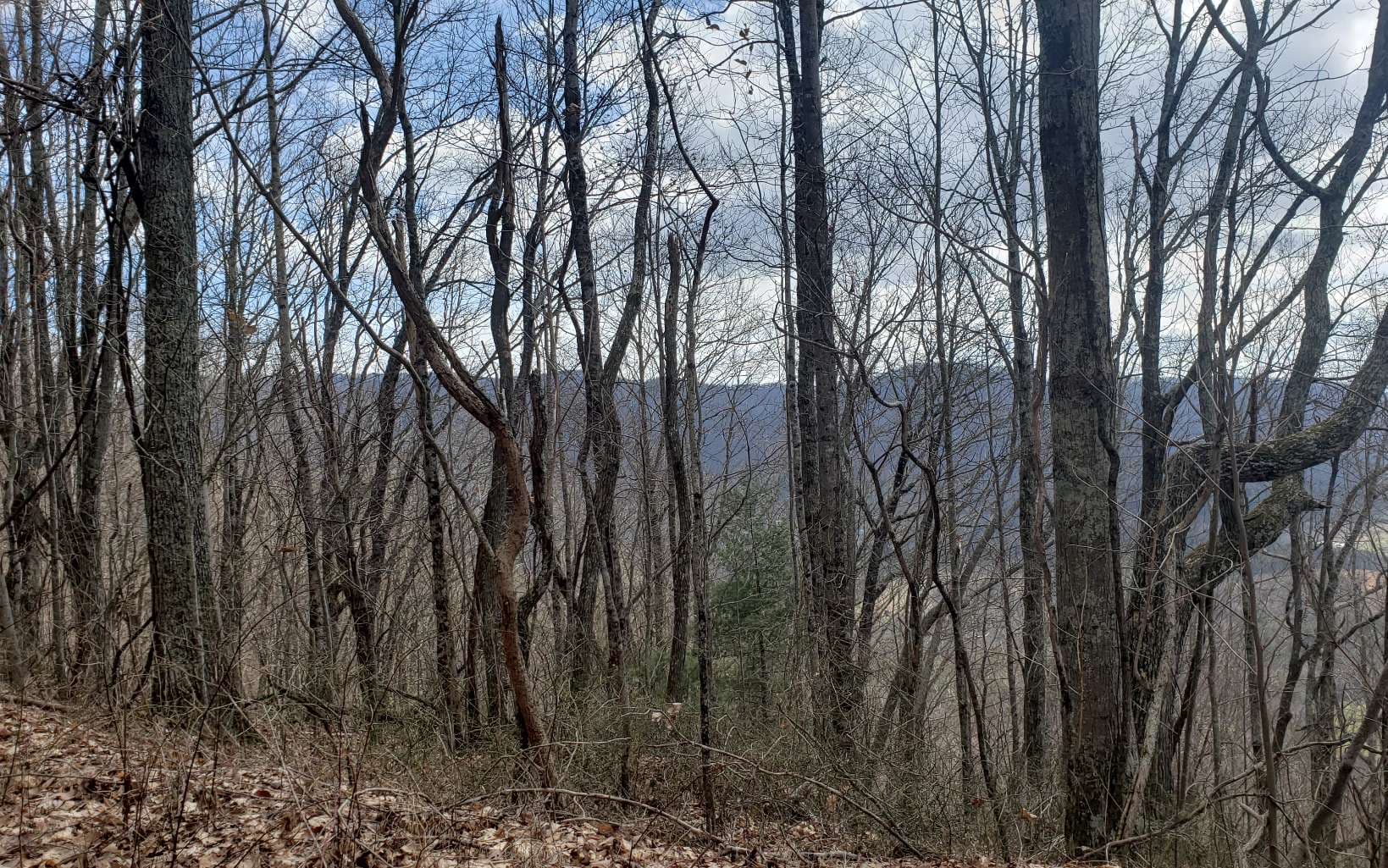 LT 35 Calvender Road, Turtletown TN 37317 - Photo
