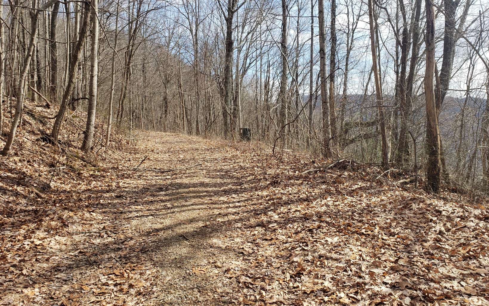 LT 35 Calvender Road, Turtletown TN 37317 - Photo