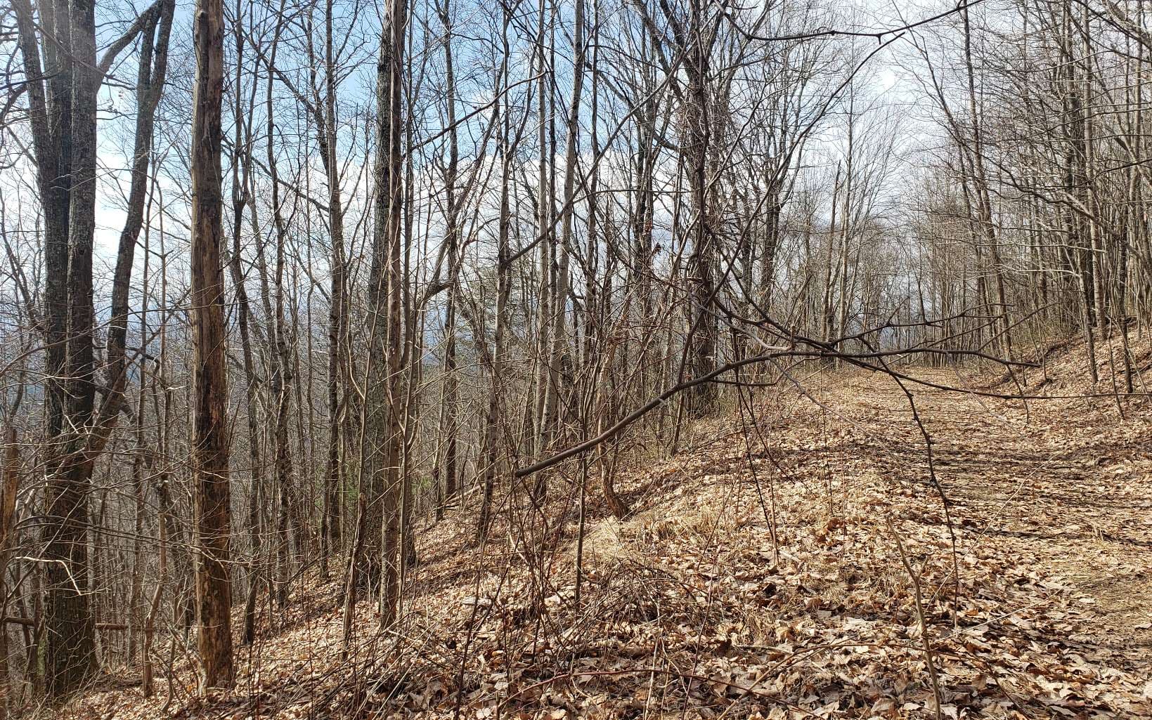 LT 35 Calvender Road, Turtletown TN 37317 - Photo