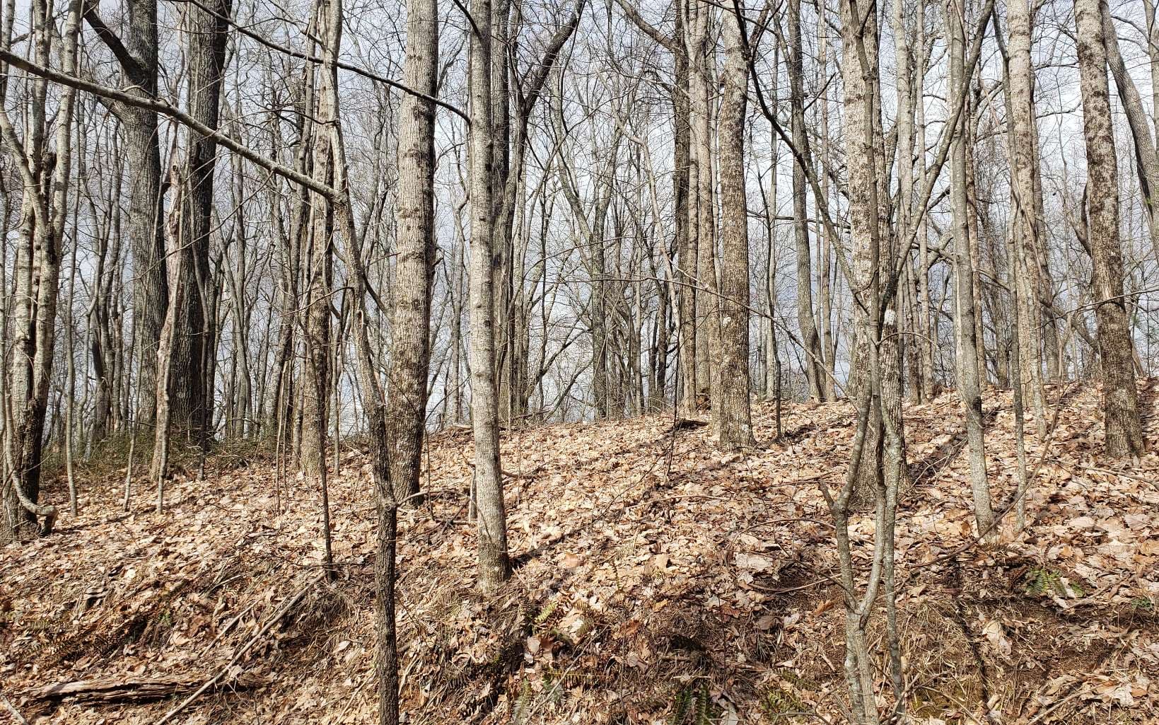 LT 35 Calvender Road, Turtletown TN 37317 - Photo