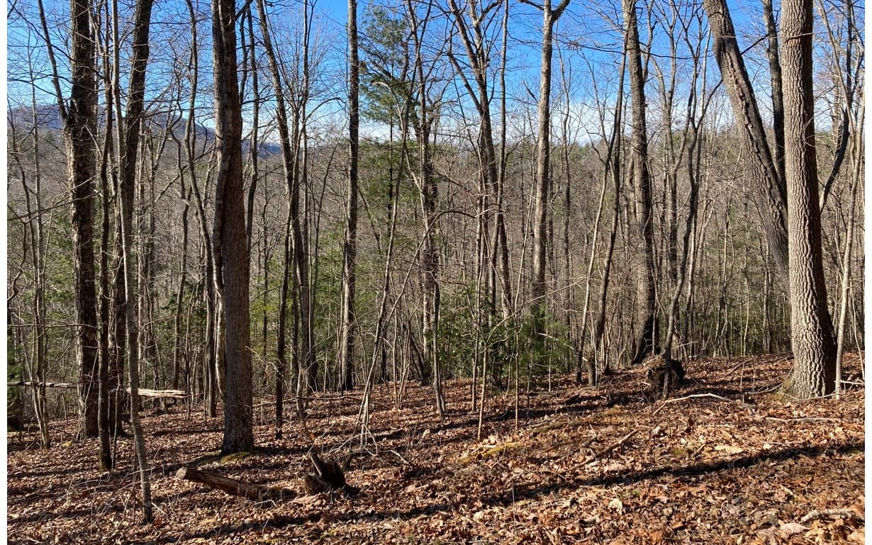 31 High Ridge Road, Murphy NC 28906 - Photo
