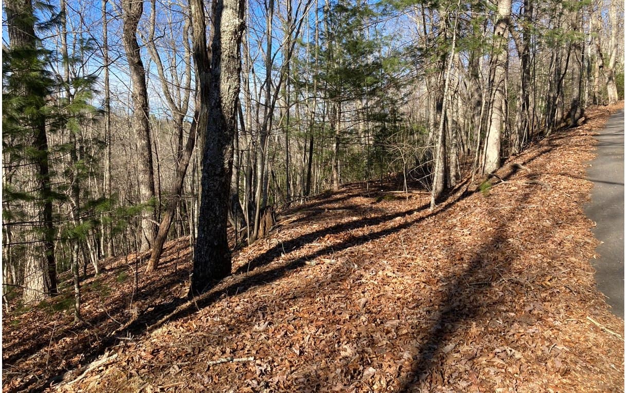 31 High Ridge Road, Murphy NC 28906 - Photo