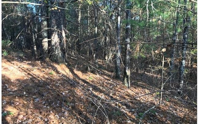 19D&E Braves Landing, Murphy NC 28906 - Photo