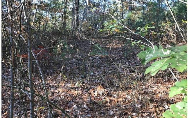 19D&E Braves Landing, Murphy NC 28906 - Photo