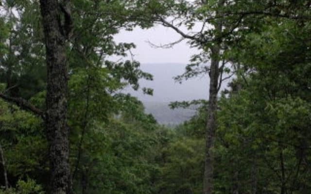 19D&E Braves Landing, Murphy NC 28906 - Primary photo