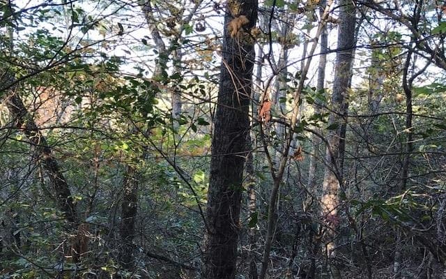 19D&E Braves Landing, Murphy NC 28906 - Photo