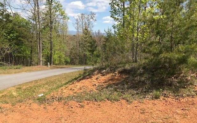 LT 29 Brasstown View Road, Murphy NC 28906 - Photo