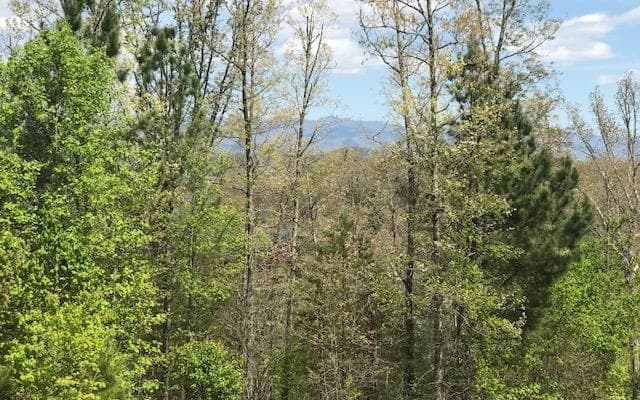 LT 29 Brasstown View Road, Murphy NC 28906 - Primary photo