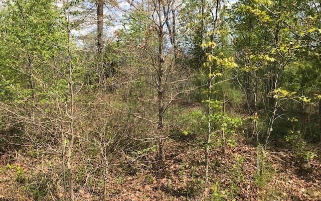 LT 29 Brasstown View Road, Murphy NC 28906 - Photo