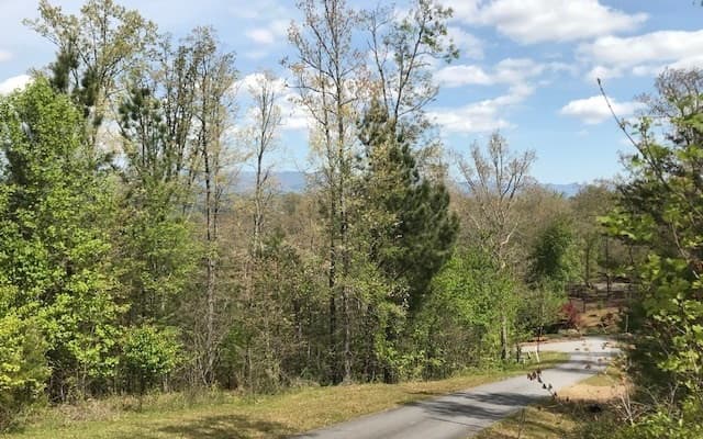 LT 29 Brasstown View Road, Murphy NC 28906 - Photo