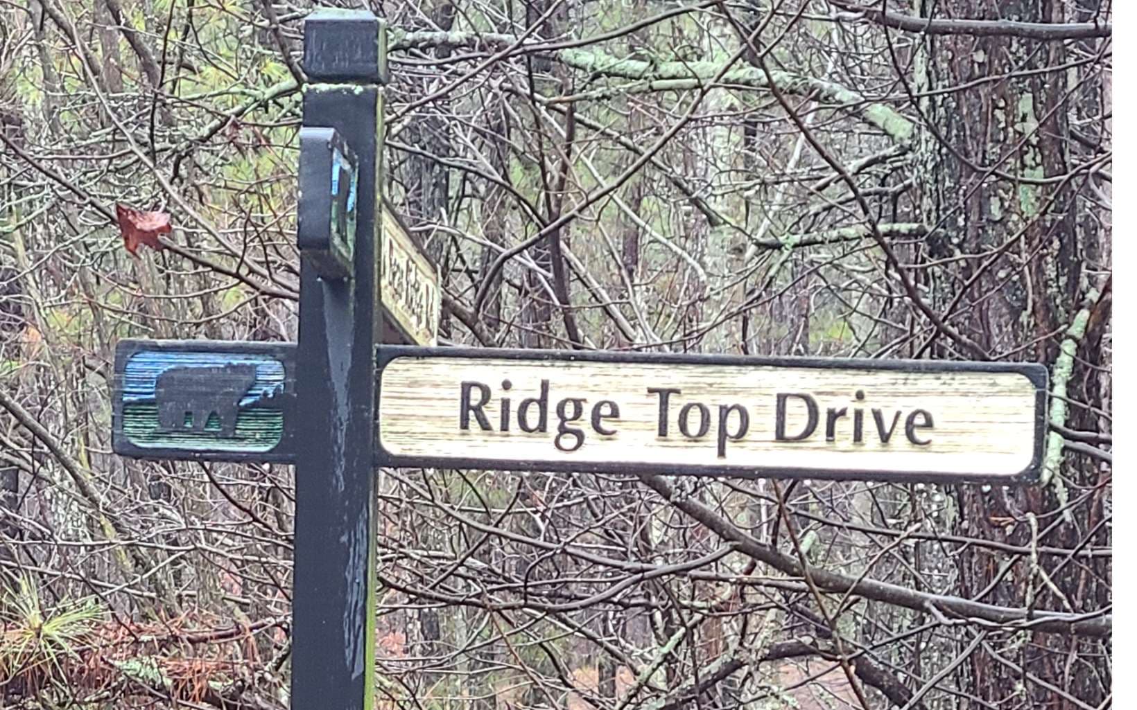 24 Ridge Top Drive, Ellijay GA 30536 - Photo