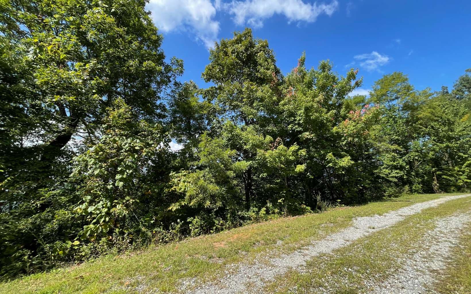 Lot 14 Mountain Harbour Drive, Hayesville NC 28904 - Photo