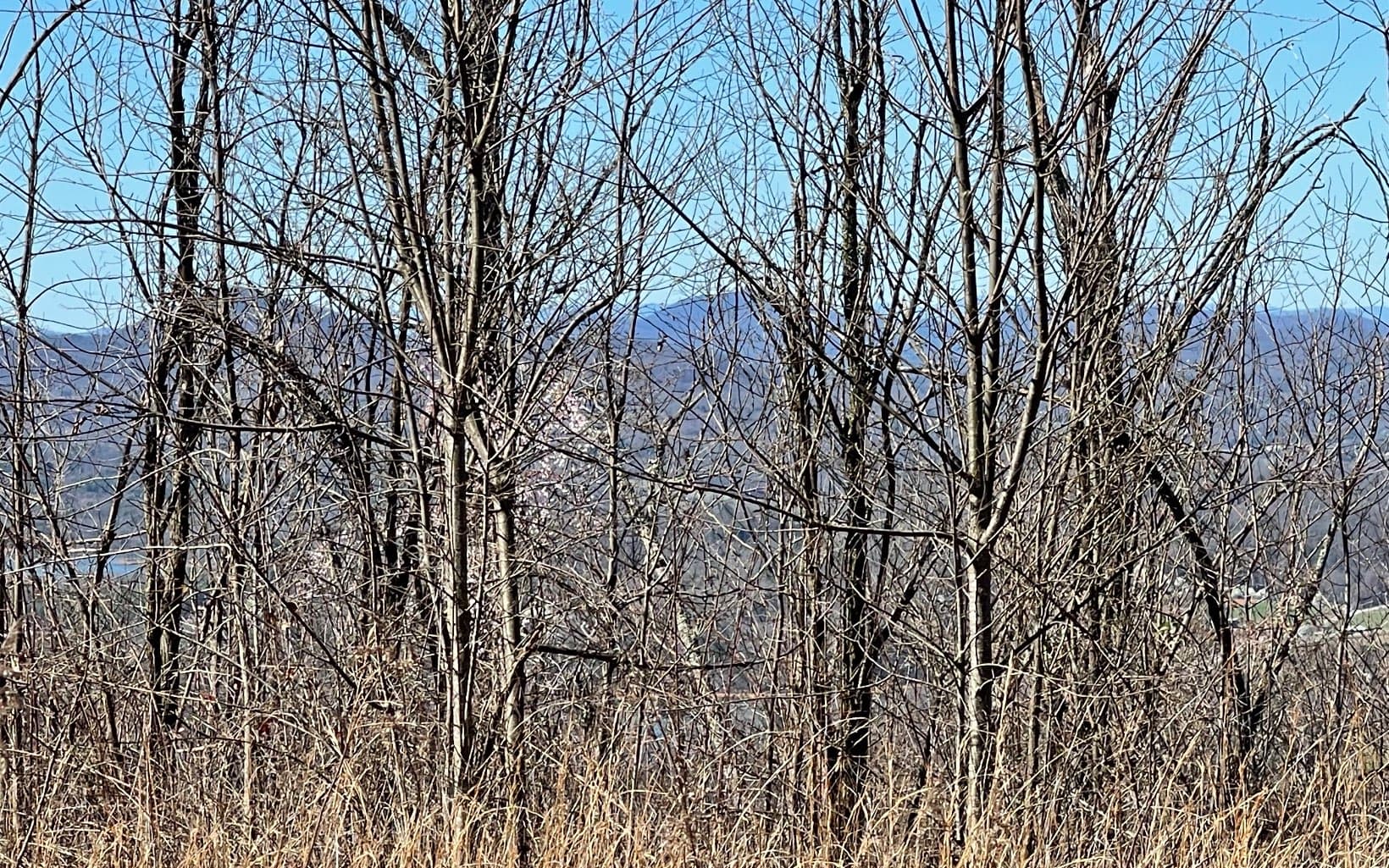 Lot 14 Mountain Harbour Drive, Hayesville NC 28904 - Photo