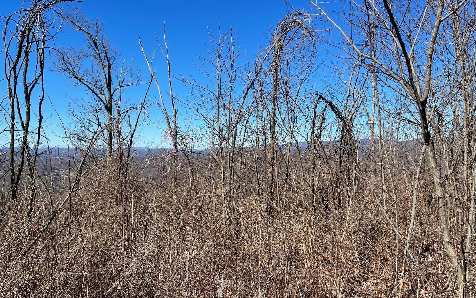 Lot 14 Mountain Harbour Drive, Hayesville NC 28904 - Photo