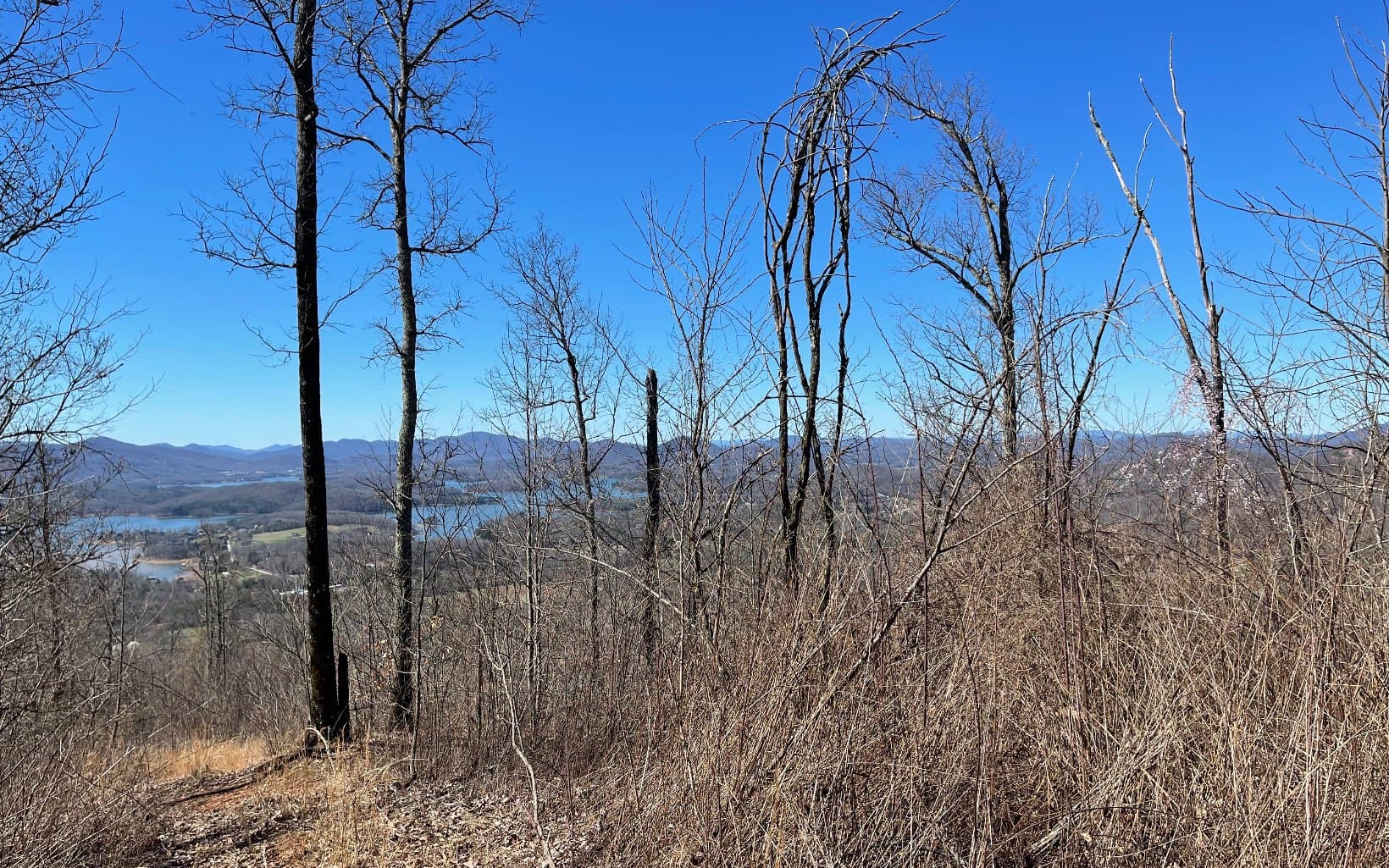 Lot 14 Mountain Harbour Drive, Hayesville NC 28904 - Photo