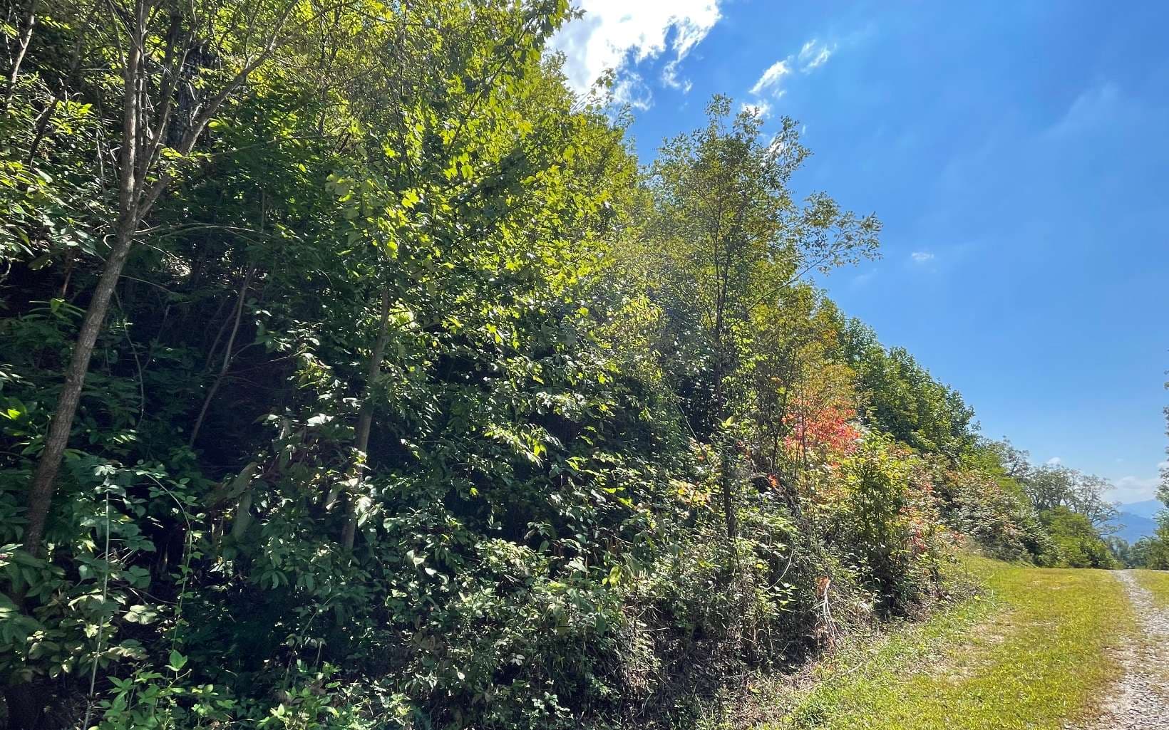 Lot 14 Mountain Harbour Drive, Hayesville NC 28904 - Photo