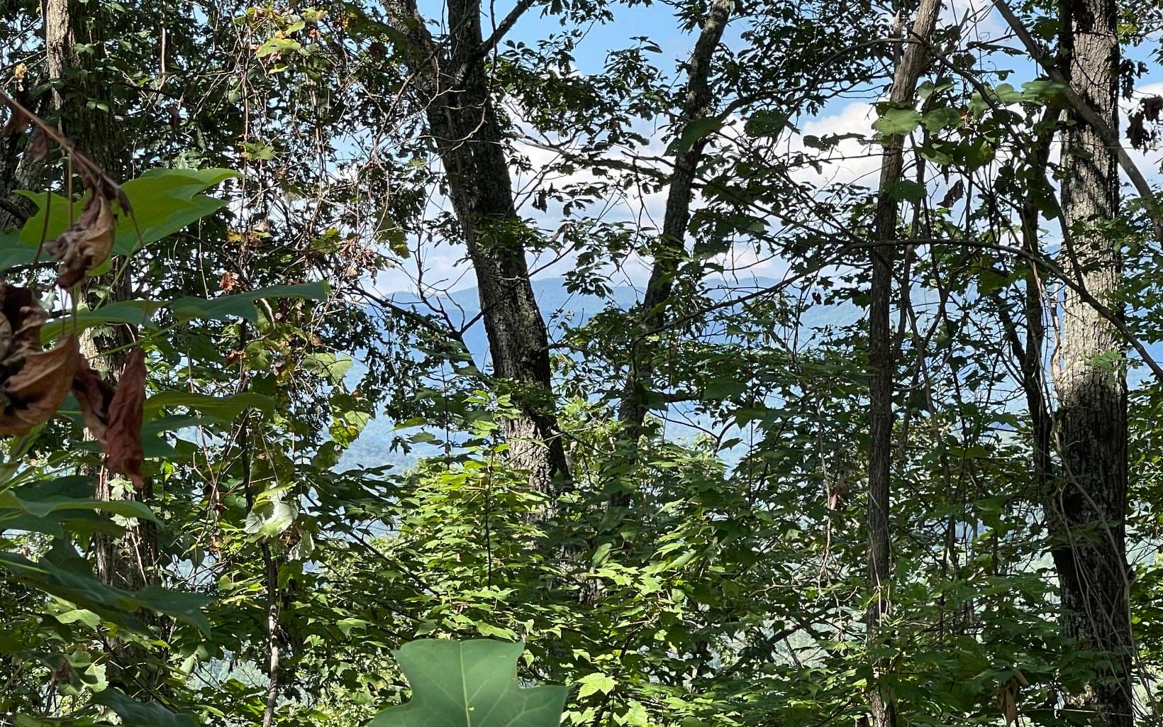 Lot 14 Mountain Harbour Drive, Hayesville NC 28904 - Photo