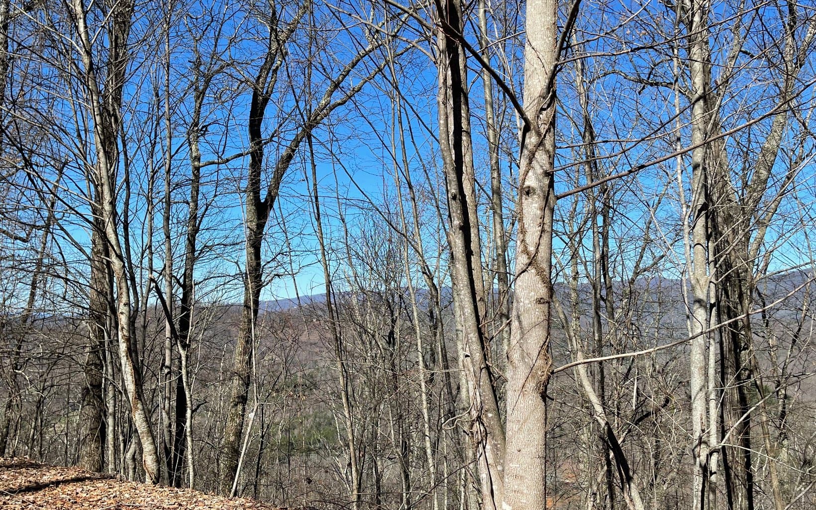 Lot 14 Mountain Harbour Drive, Hayesville NC 28904 - Photo