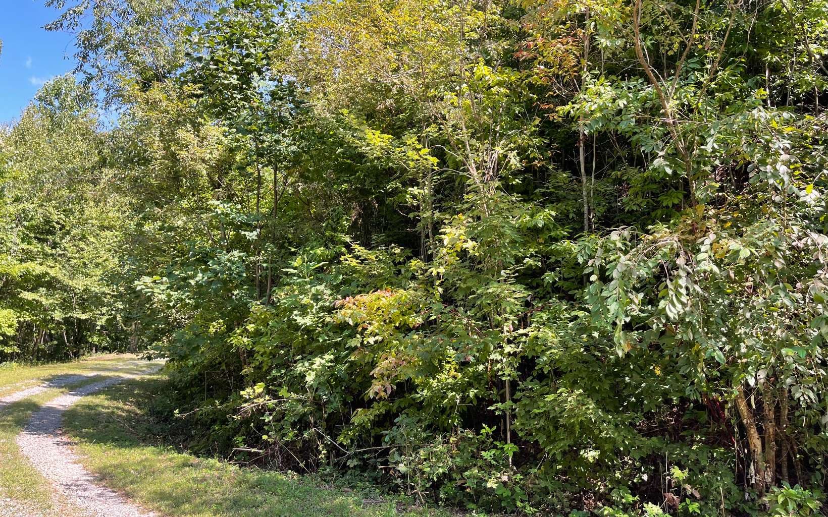 Lot 14 Mountain Harbour Drive, Hayesville NC 28904 - Photo