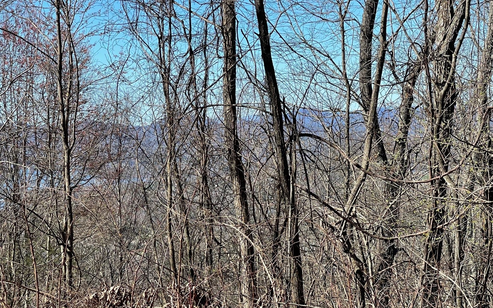 Lot 14 Mountain Harbour Drive, Hayesville NC 28904 - Photo