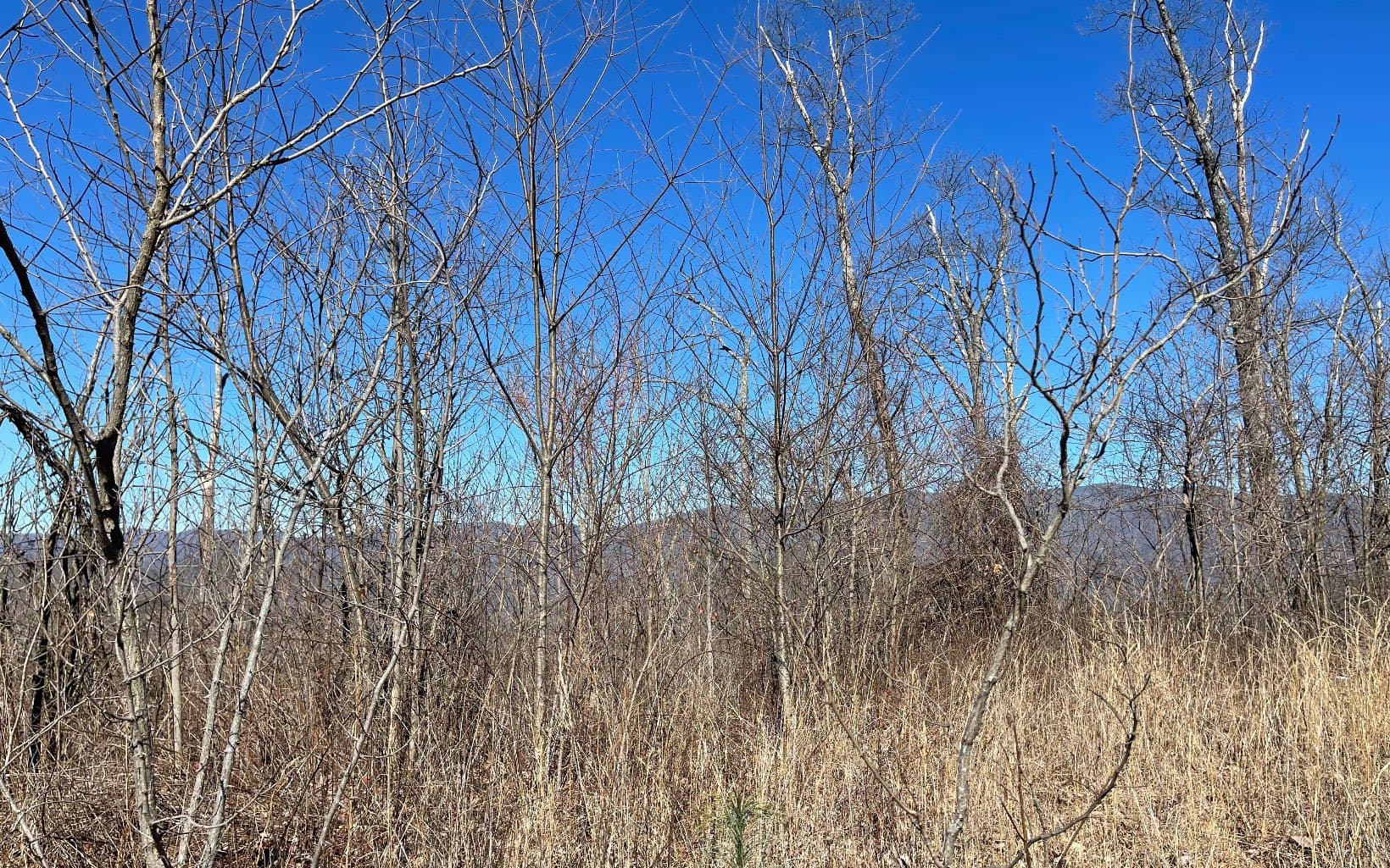 Lot 14 Mountain Harbour Drive, Hayesville NC 28904 - Photo