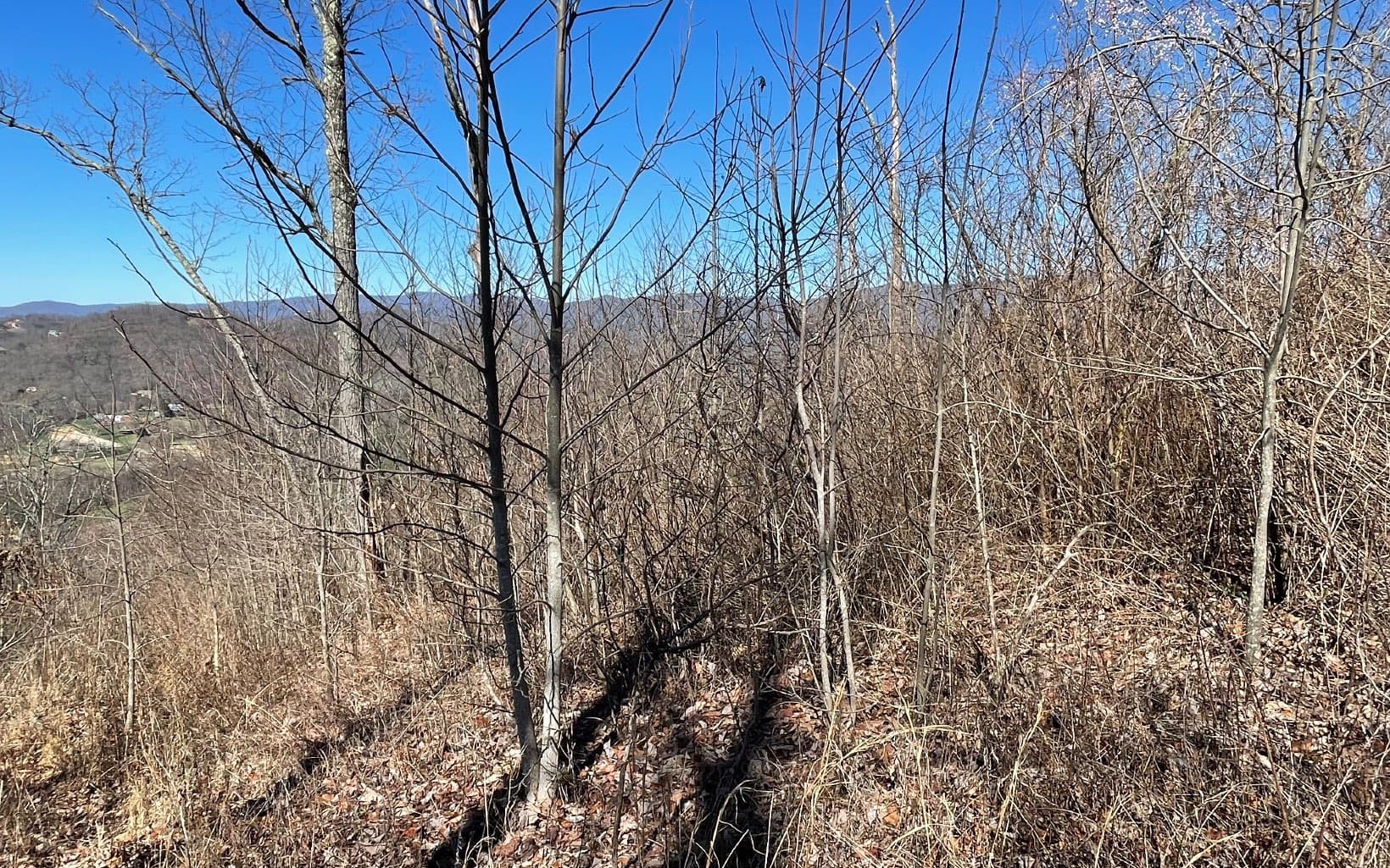 Lot 14 Mountain Harbour Drive, Hayesville NC 28904 - Photo