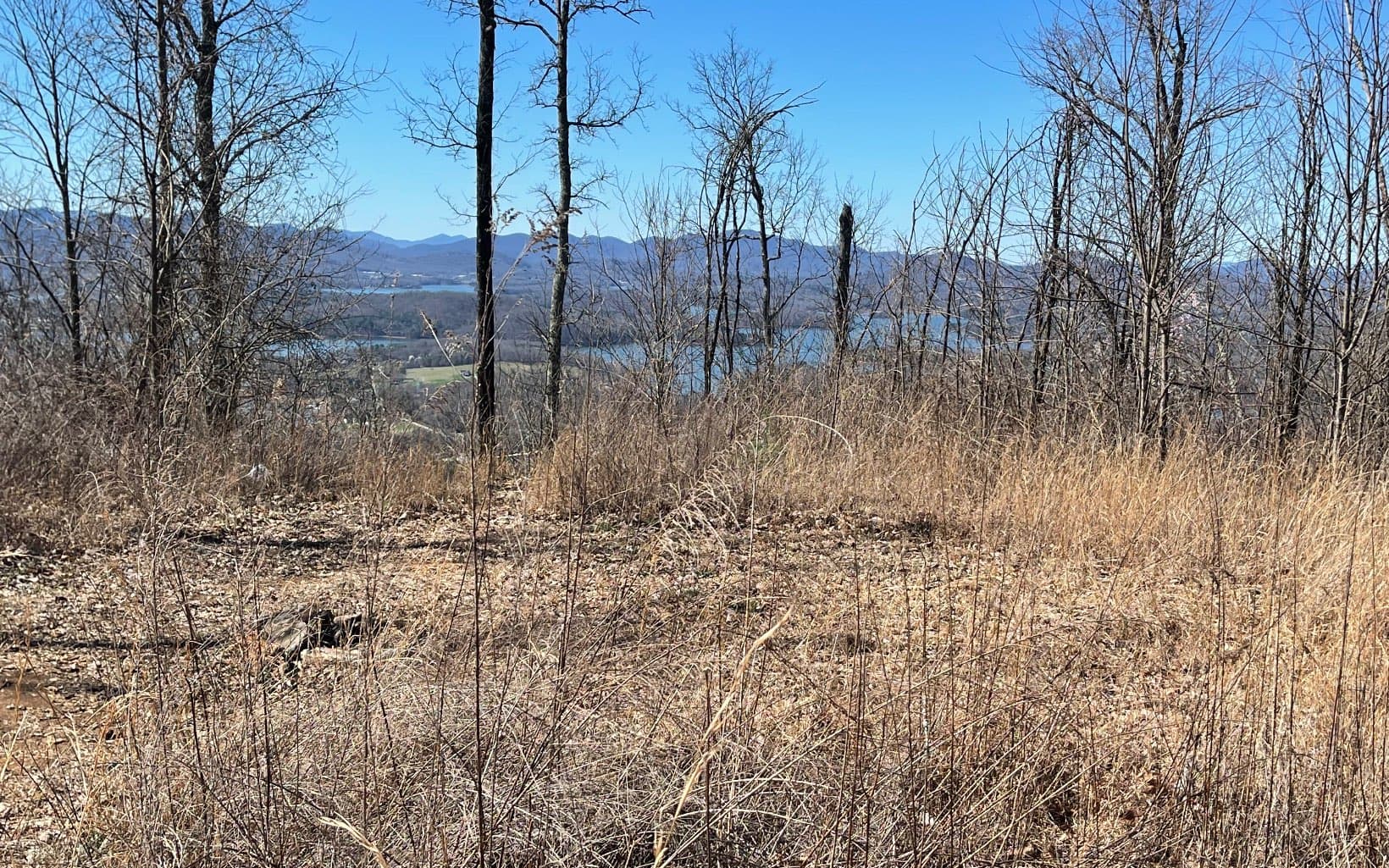 Lot 14 Mountain Harbour Drive, Hayesville NC 28904 - Photo