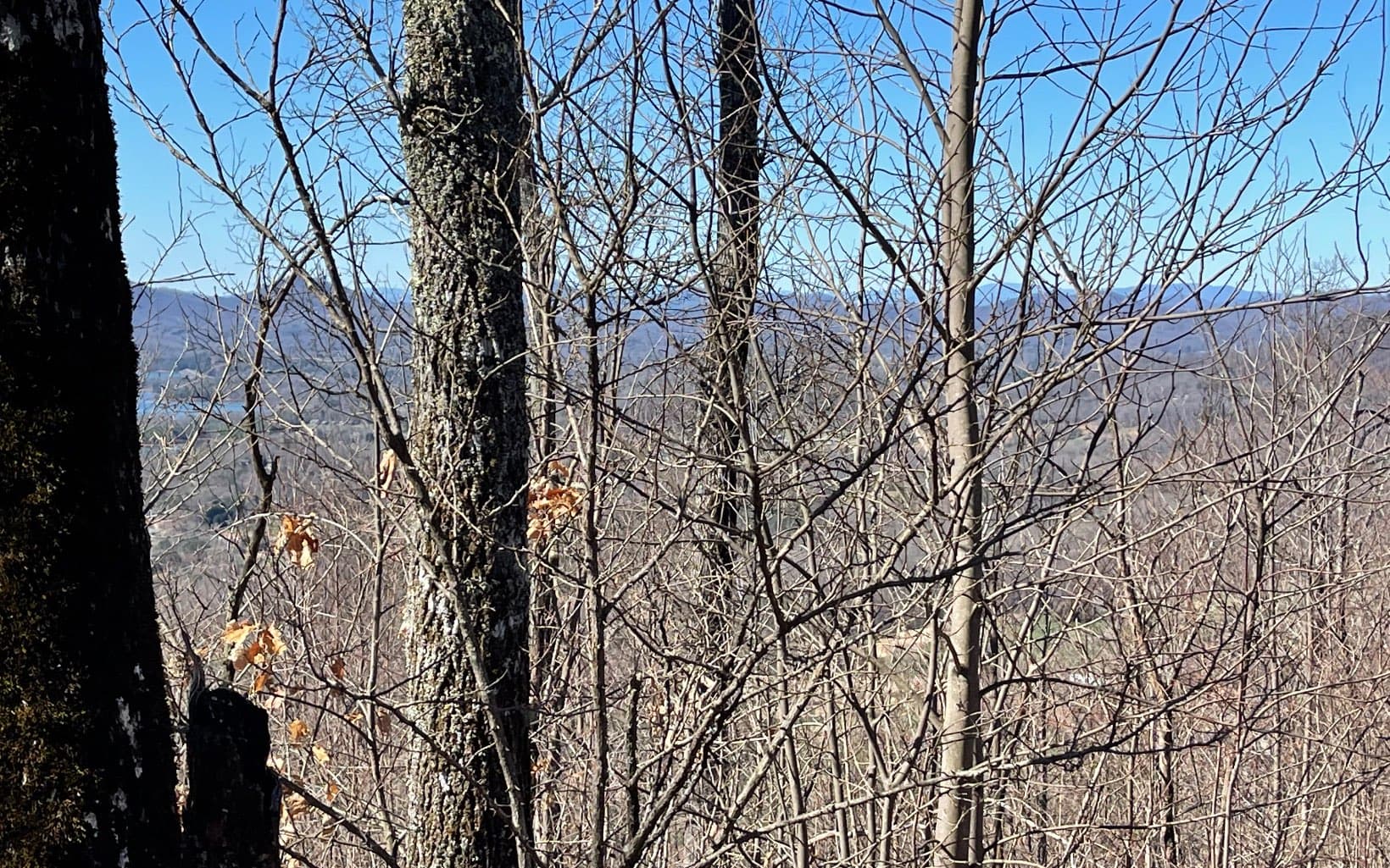 Lot 14 Mountain Harbour Drive, Hayesville NC 28904 - Photo