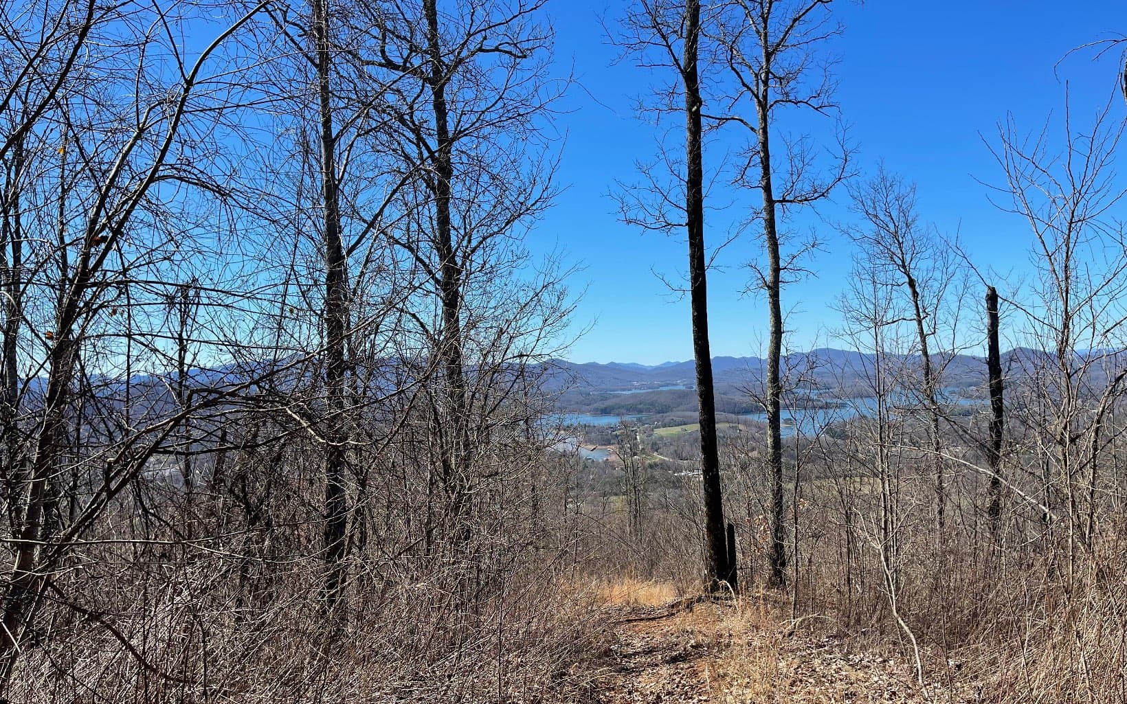 Lot 14 Mountain Harbour Drive, Hayesville NC 28904 - Photo