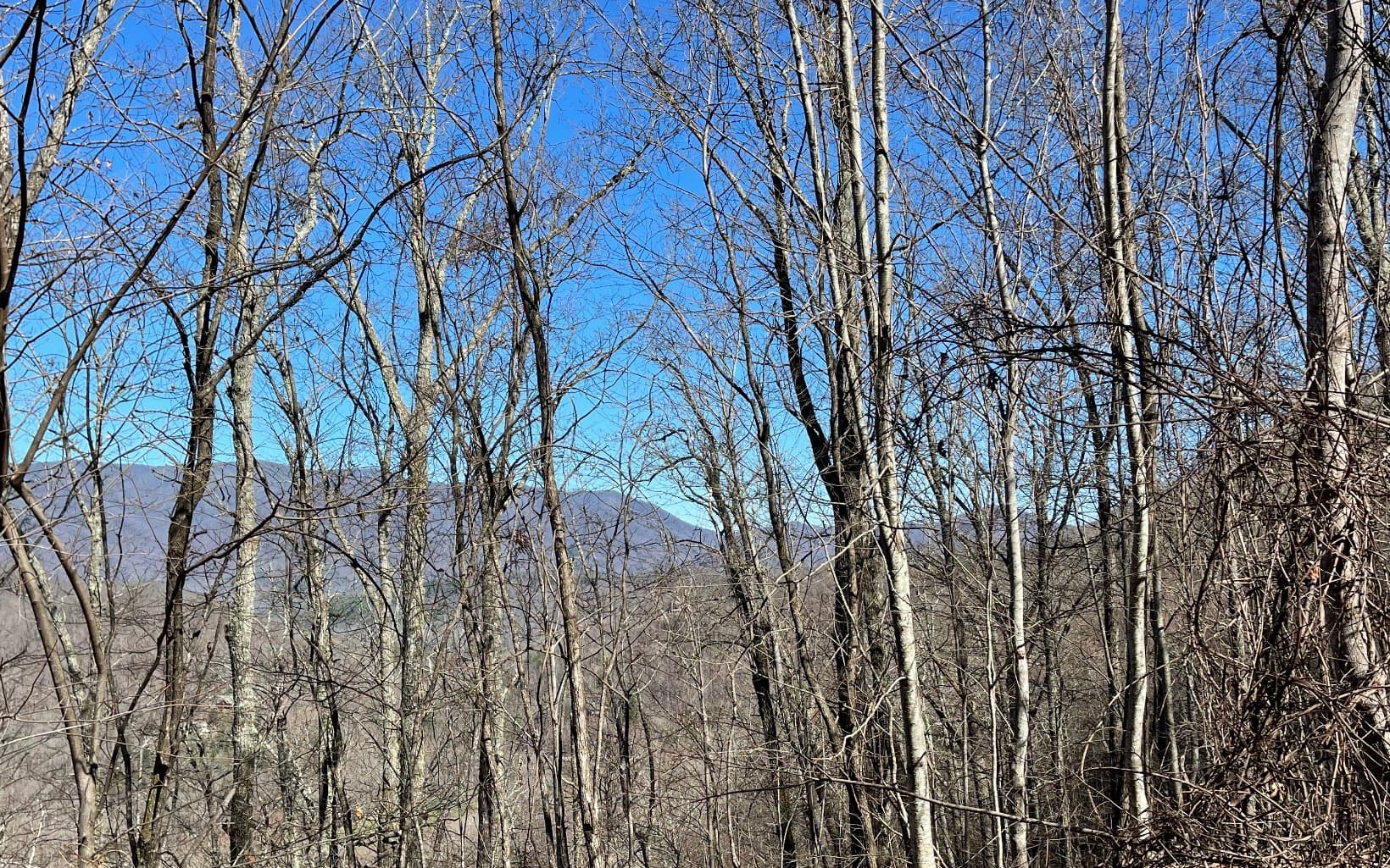 Lot 14 Mountain Harbour Drive, Hayesville NC 28904 - Photo