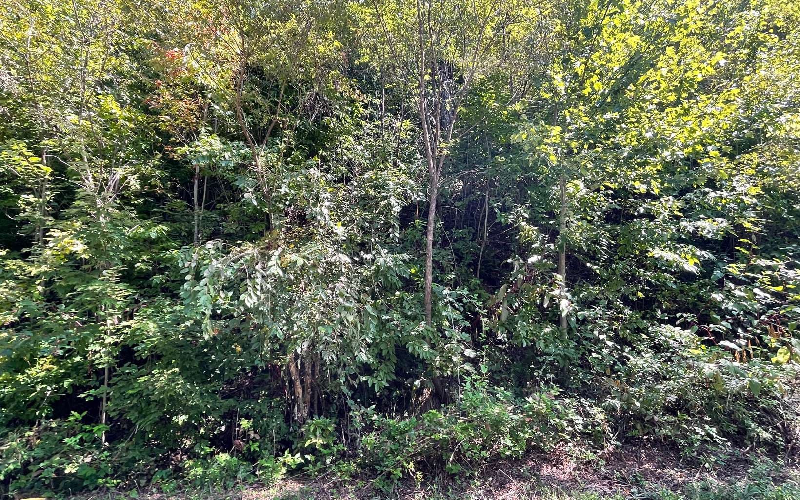 Lot 14 Mountain Harbour Drive, Hayesville NC 28904 - Photo