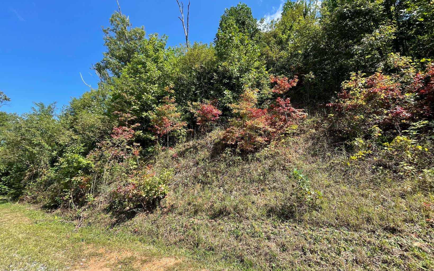 Lot 14 Mountain Harbour Drive, Hayesville NC 28904 - Photo
