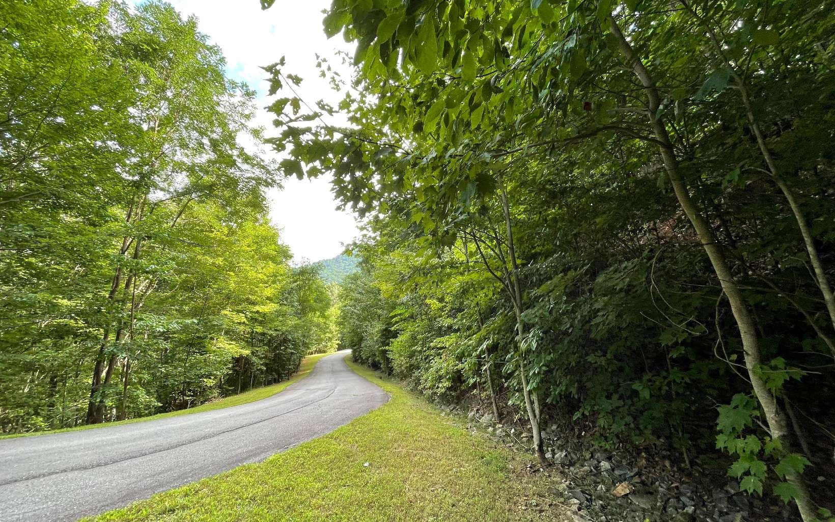 Lot 34 Overlook At Yh, Young Harris GA 30582 - Photo