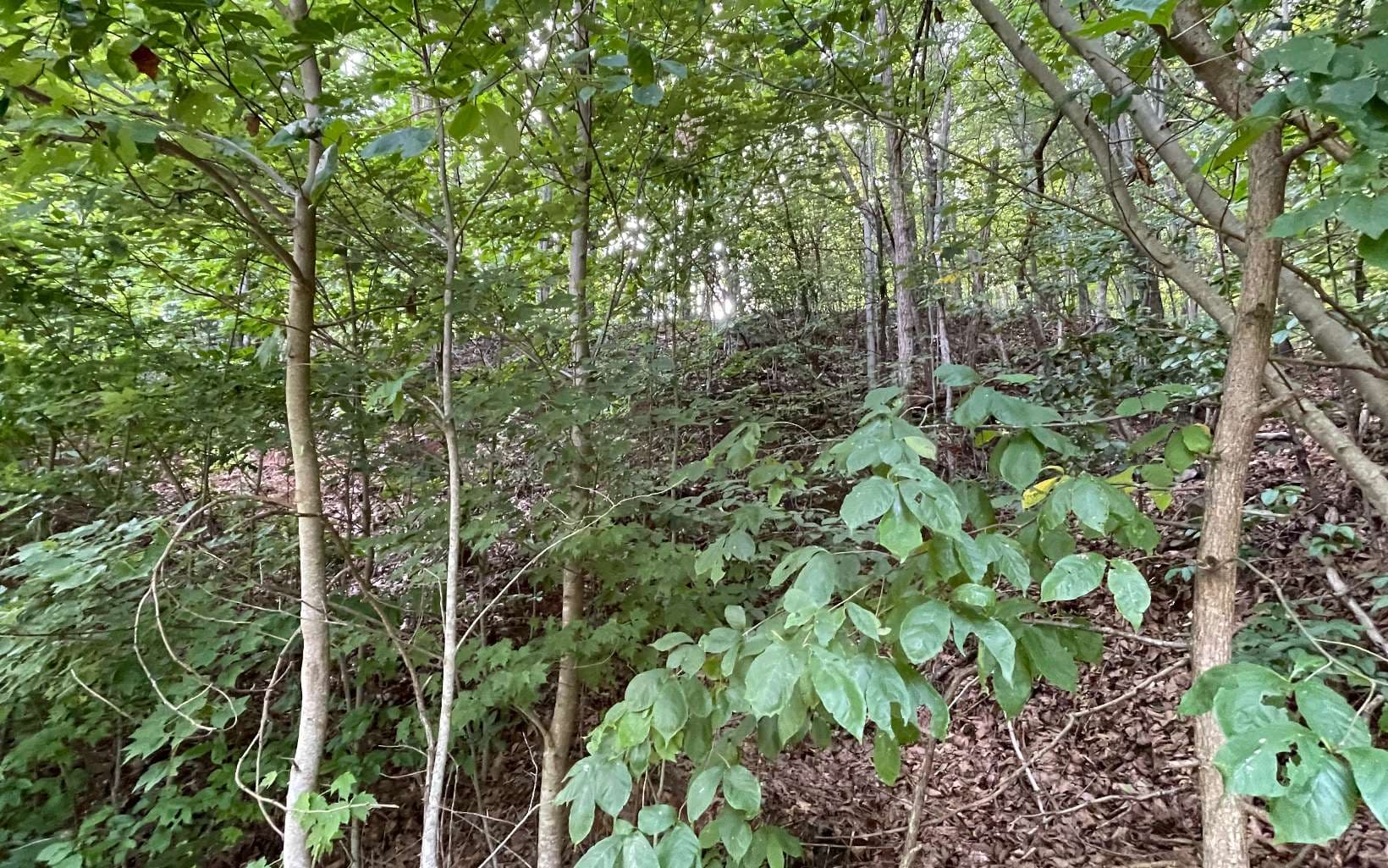 Lot 34 Overlook At Yh, Young Harris GA 30582 - Photo