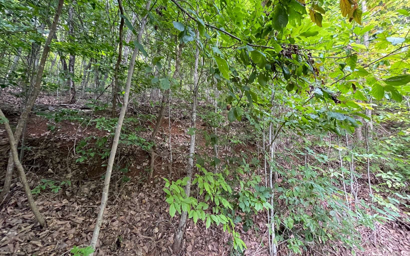 Lot 34 Overlook At Yh, Young Harris GA 30582 - Photo
