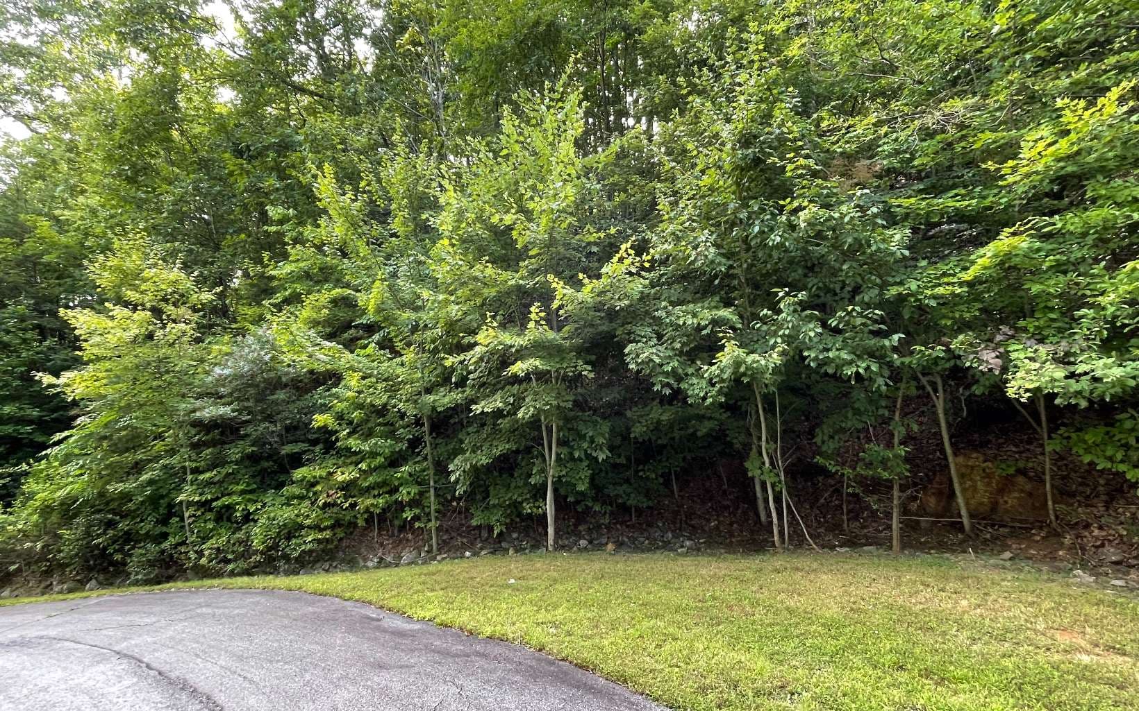 Lot 34 Overlook At Yh, Young Harris GA 30582 - Primary photo