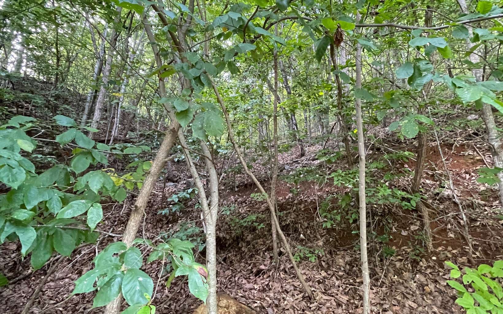 Lot 34 Overlook At Yh, Young Harris GA 30582 - Photo